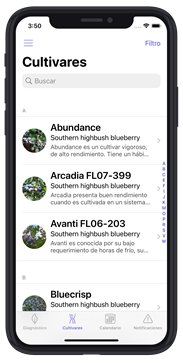 UF/IFAS just released a new Spanish-language app for blueberry growers.